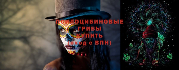 шишки Алексеевка